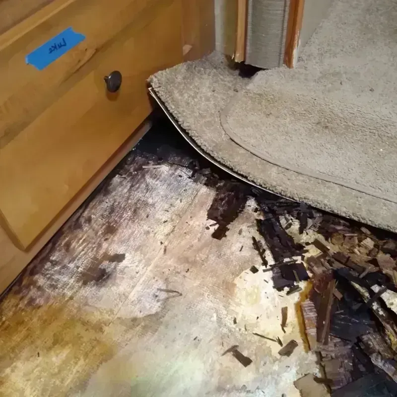 Best Wood Floor Water Damage Service in Lake Dalecarlia, IN